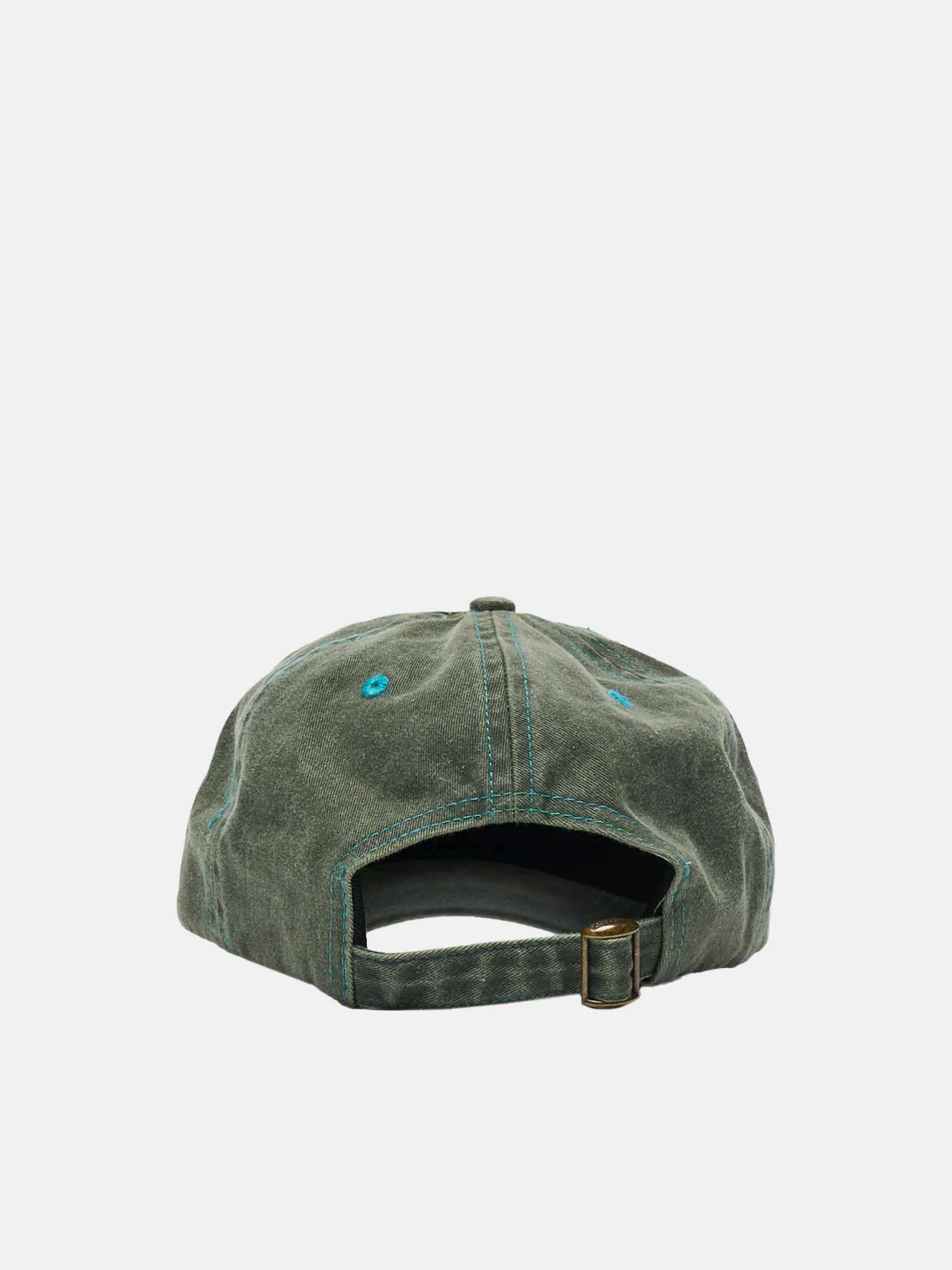 Butter Goods Swirl 6 Panel Cap - Washed Foliage