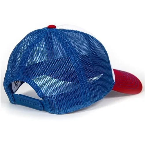 Dynamic Discs Standard D's Snapback Hat